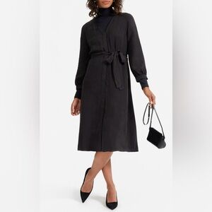 Everlane cupro blouson dress, xxs/00. New without tags. Pet and smoke free home.